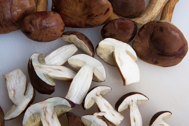 les champignons pour la recette de novembre