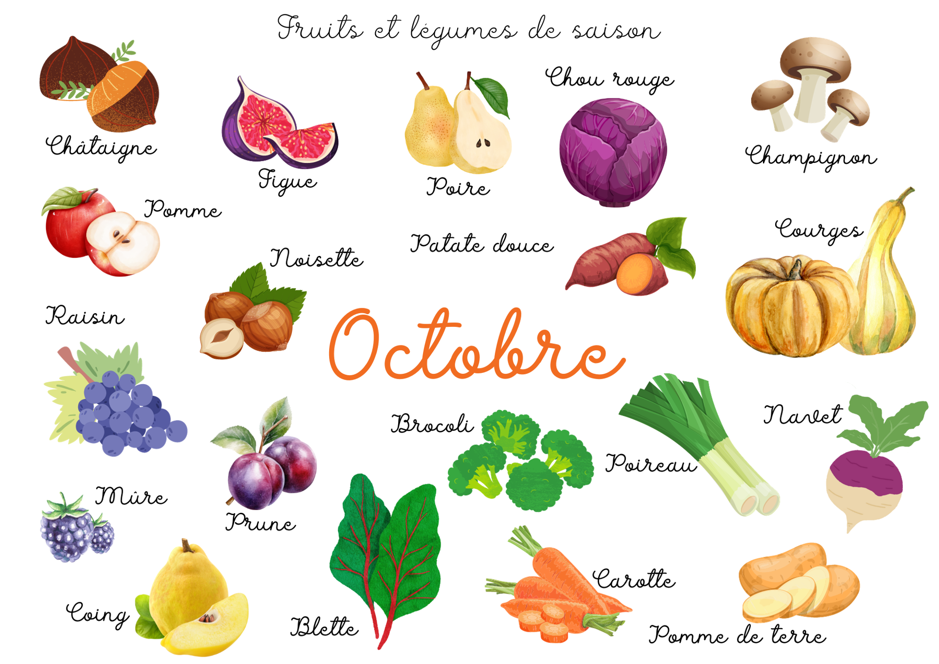 Les légumes et fruits d'octobre sont encore gorgés de soleil.