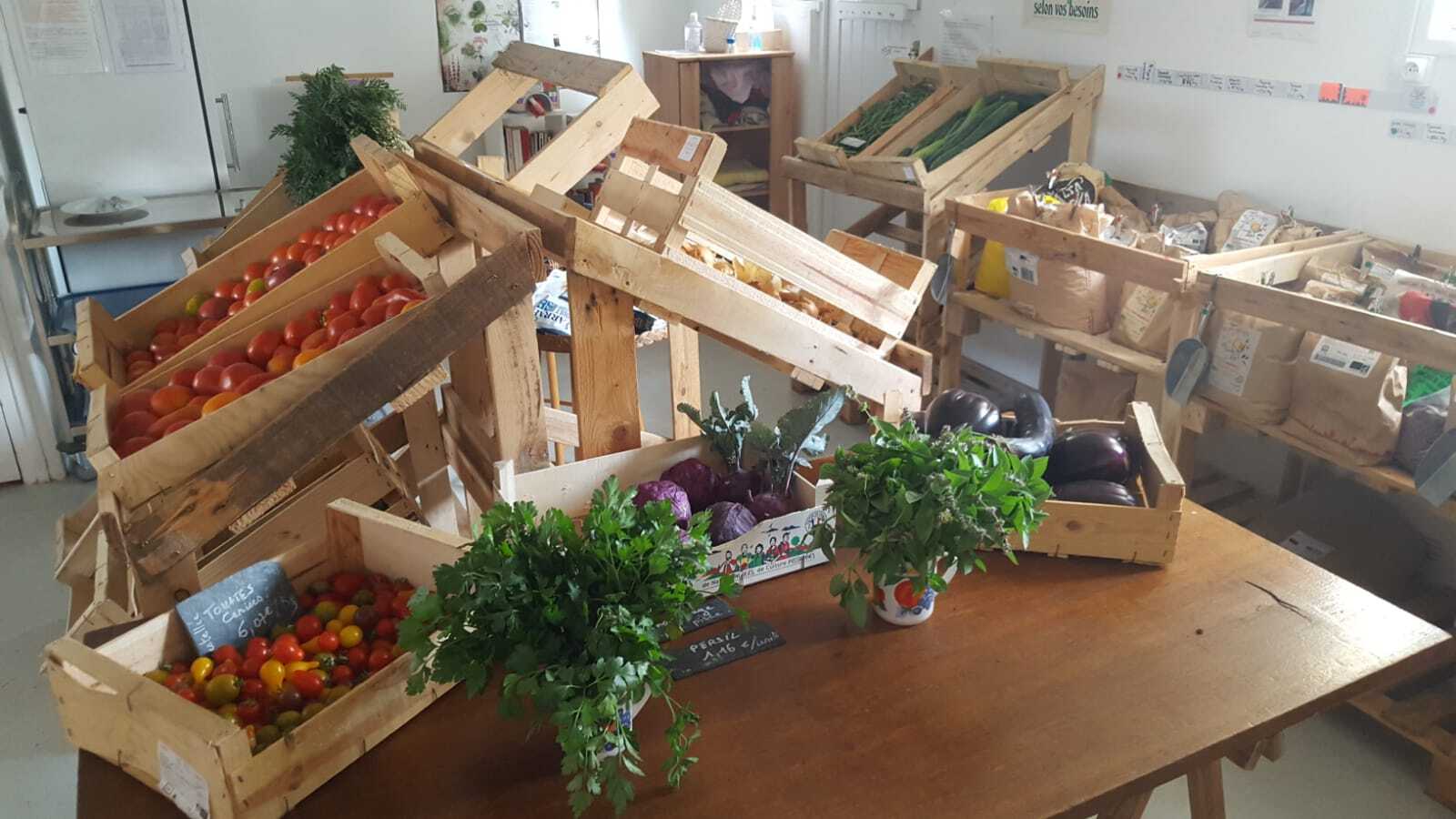 Les légumes du mois de septembre à Bio Seulles