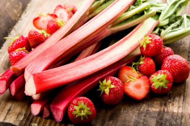 Fraise et rhubarbe, le duo vitaminé du printemps